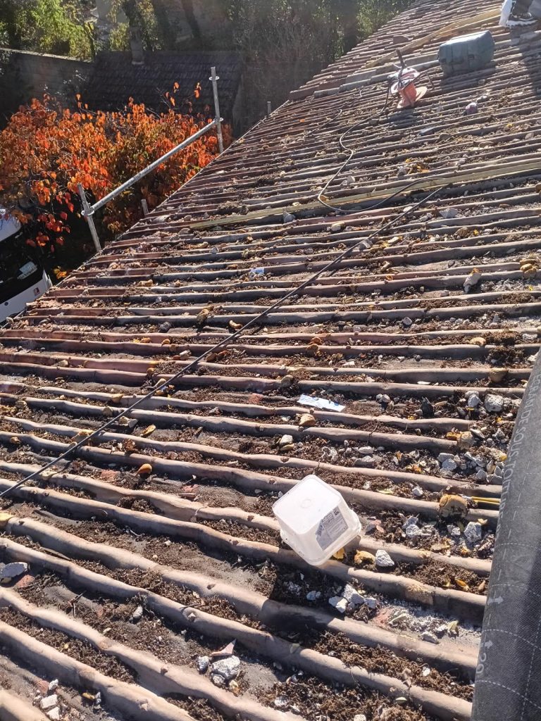 whatsapp image 2025 11 20 at 15.07.27 (1)