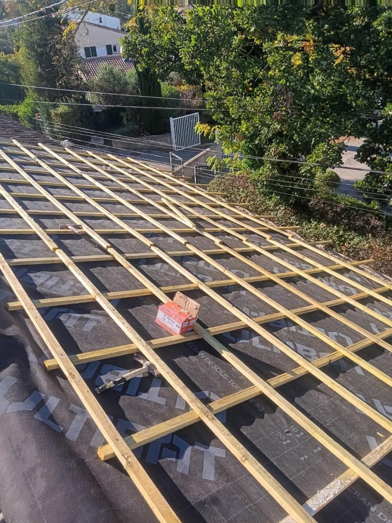 whatsapp image 2025 11 20 at 15.07.27